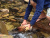 Survival Training
